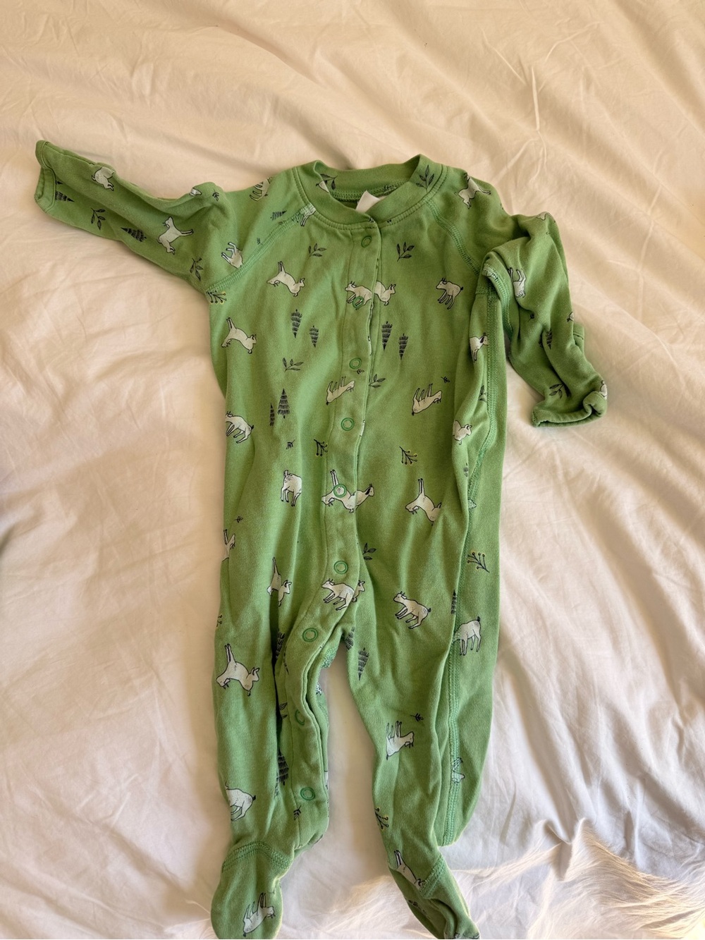 Hanna Andersson Green Baby One-Piece Footed Sleeper with Animal Print
